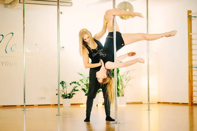 POLEdance - Level 1, Technique